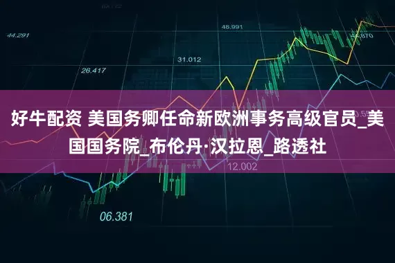 好牛配资 美国务卿任命新欧洲事务高级官员_美国国务院_布伦丹·汉拉恩_路透社