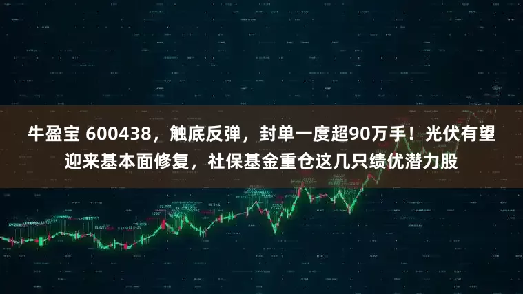牛盈宝 600438，触底反弹，封单一度超90万手！光伏有望迎来基本面修复，社保基金重仓这几只绩优潜力股