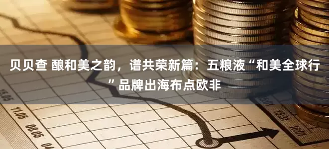 贝贝查 酿和美之韵，谱共荣新篇：五粮液“和美全球行”品牌出海布点欧非