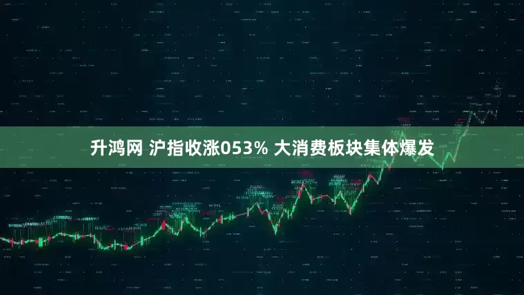 升鸿网 沪指收涨053% 大消费板块集体爆发